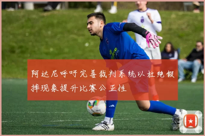 阿达尼呼吁完善裁判系统以杜绝假摔现象提升比赛公正性